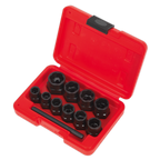 Spanner Type Bolt Extractor Set 3/8"Sq Drive 11pc AK8184
