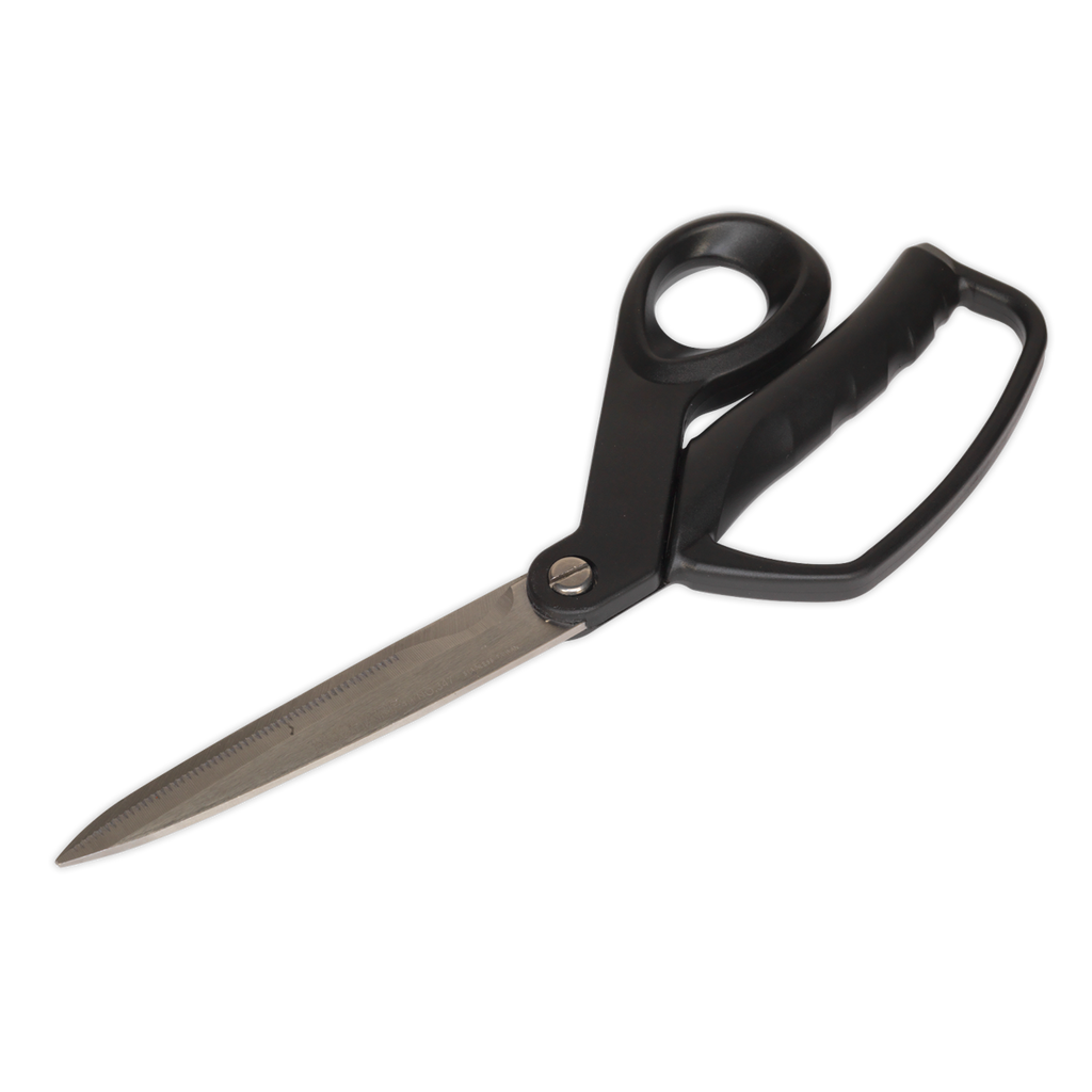 Heavy-Duty Shears/Scissors 250mm AK8524