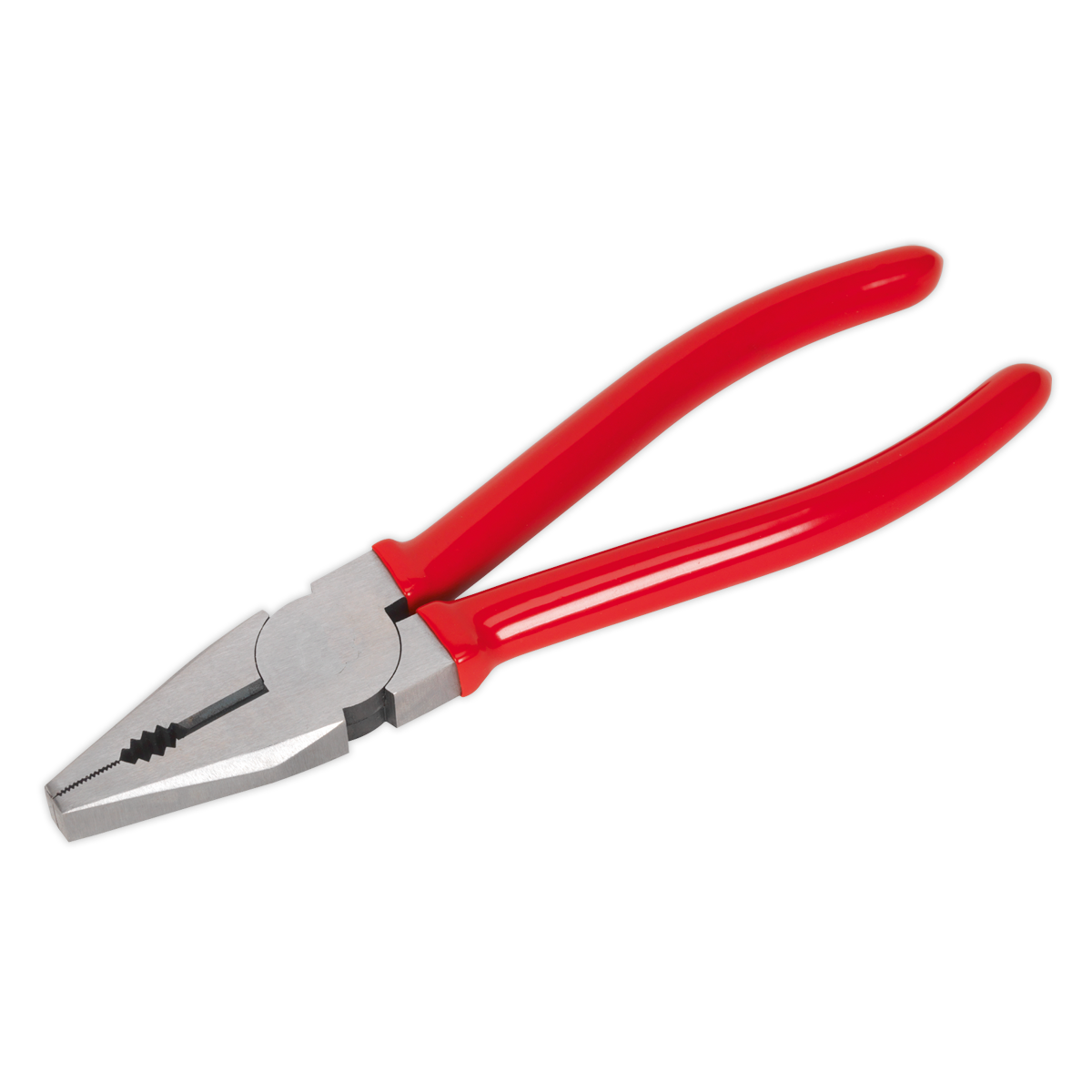 Combination Pliers 200mm AK8561