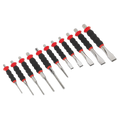 Sheathed Punch & Chisel Set 11pc AK9135
