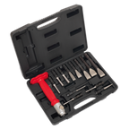 Interchangeable Punch & Chisel Set 13pc AK9215