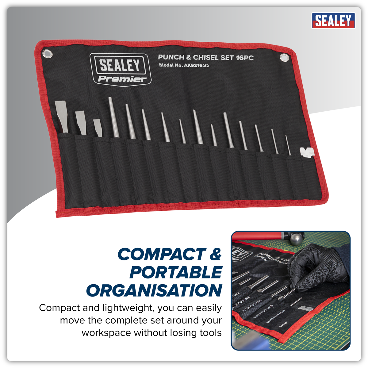 Punch & Chisel Set 16pc AK9216