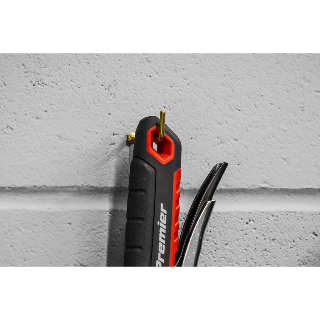 Locking Adjustable Wrench 250mm AK9572