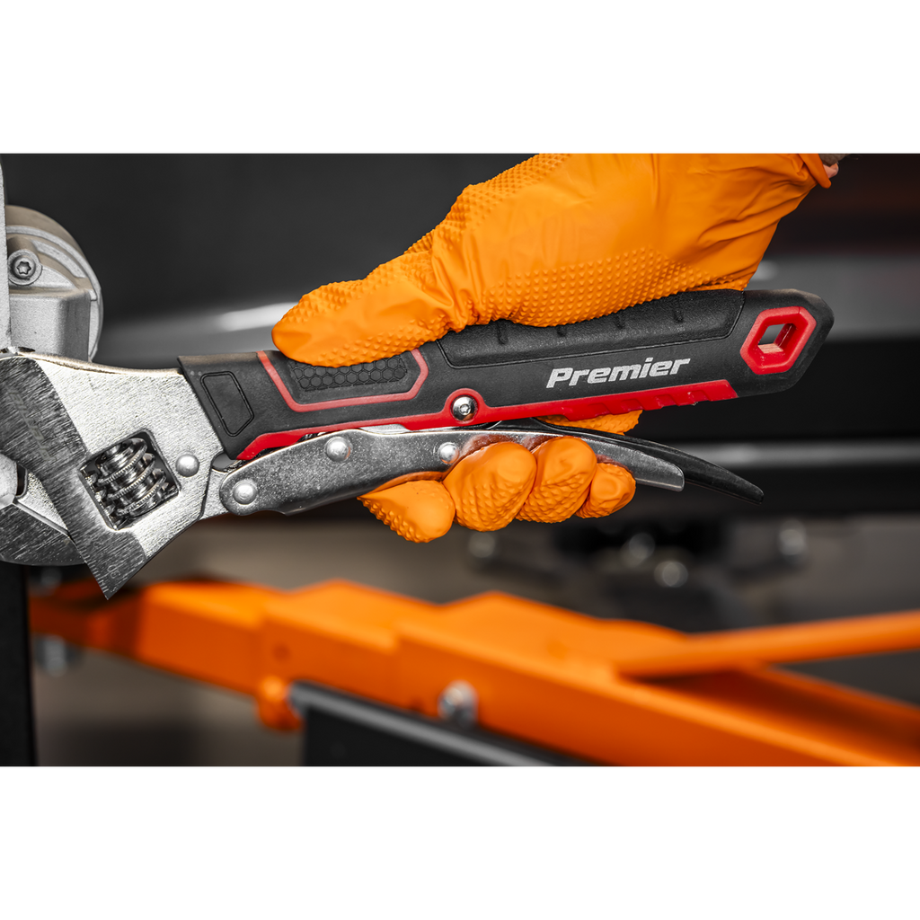 Locking Adjustable Wrench 250mm AK9572