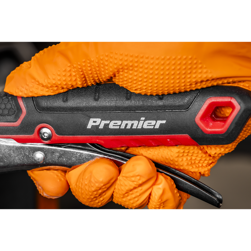 Locking Adjustable Wrench 250mm AK9572