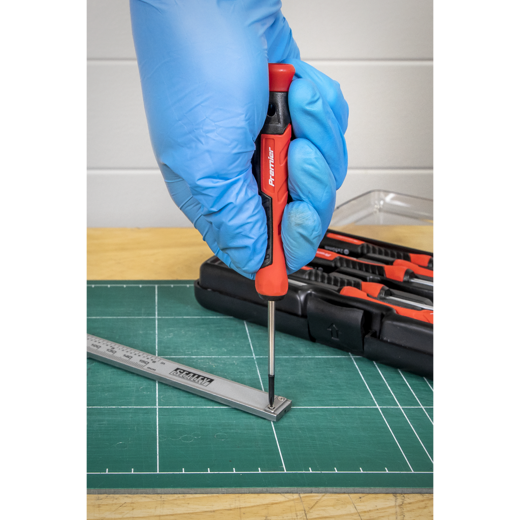 Precision Screwdriver Set 6pc AK97324