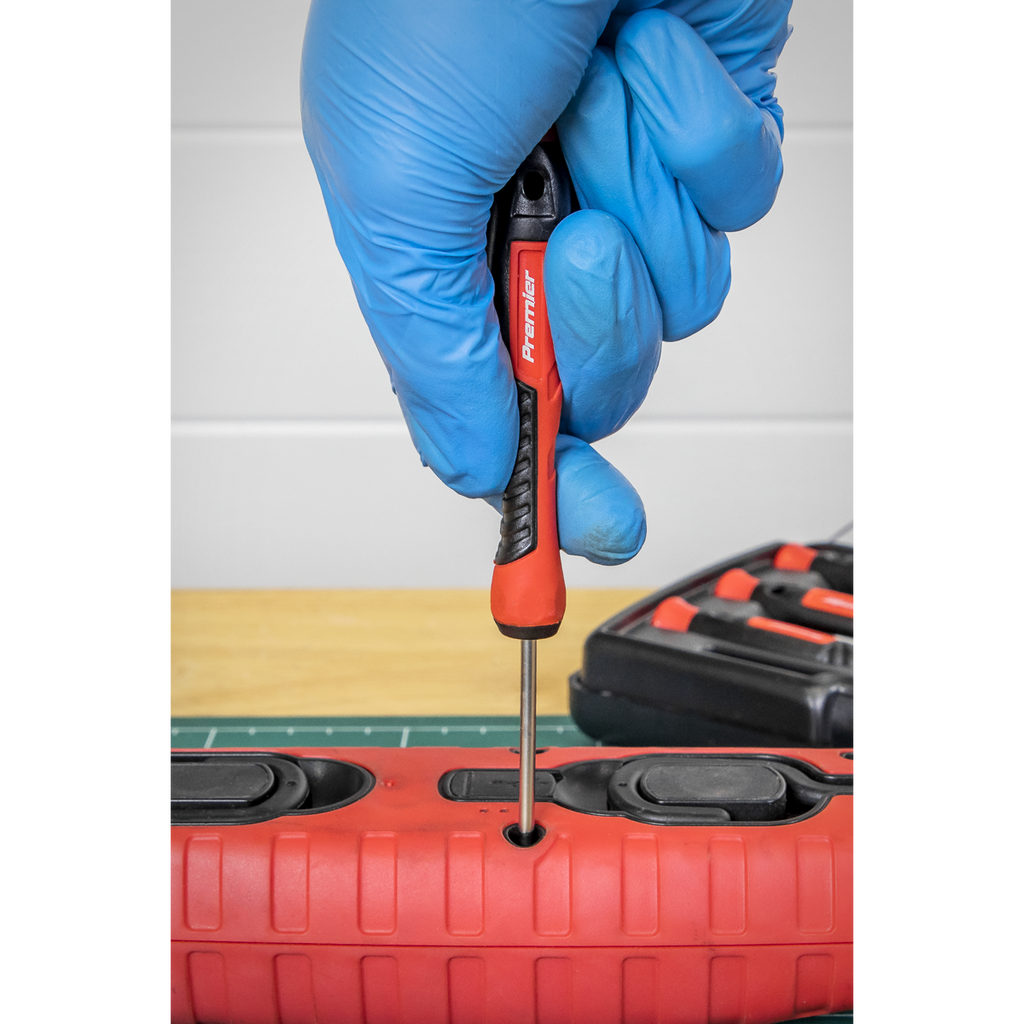 Precision Screwdriver Set 6pc AK97324