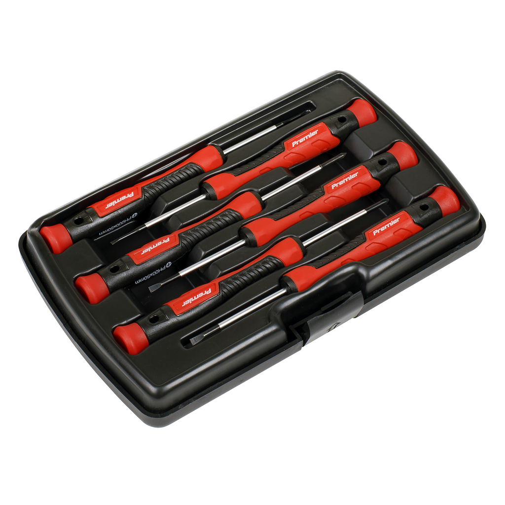 Precision Screwdriver Set 6pc AK97324