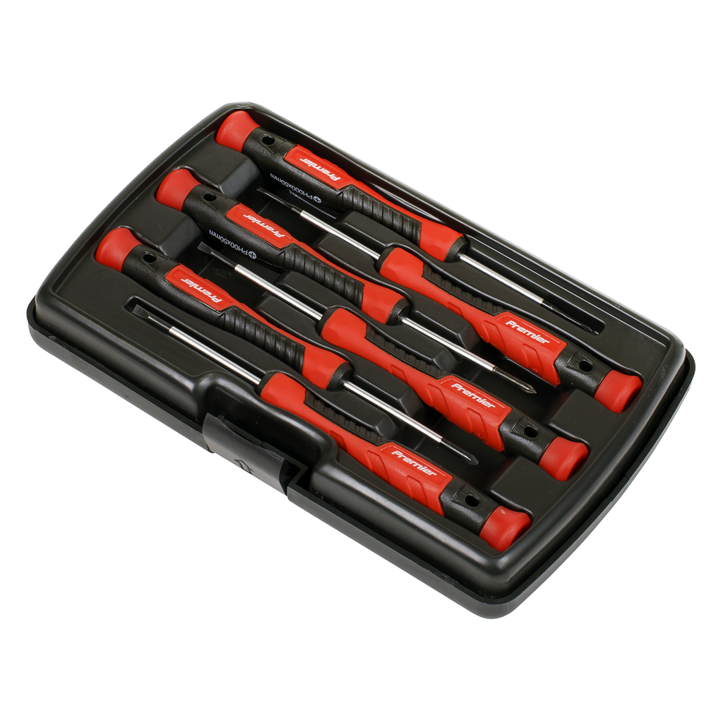 Precision Screwdriver Set 6pc AK97324