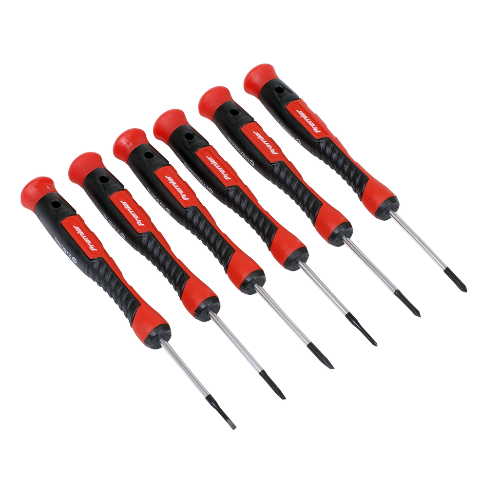 Precision Screwdriver Set 6pc AK97324