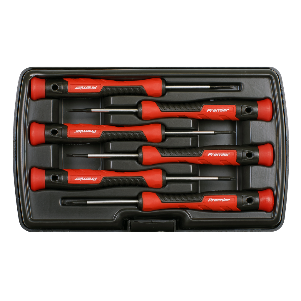 Precision Screwdriver Set 6pc AK97324