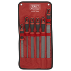Rasp File Set 6pc AKR06