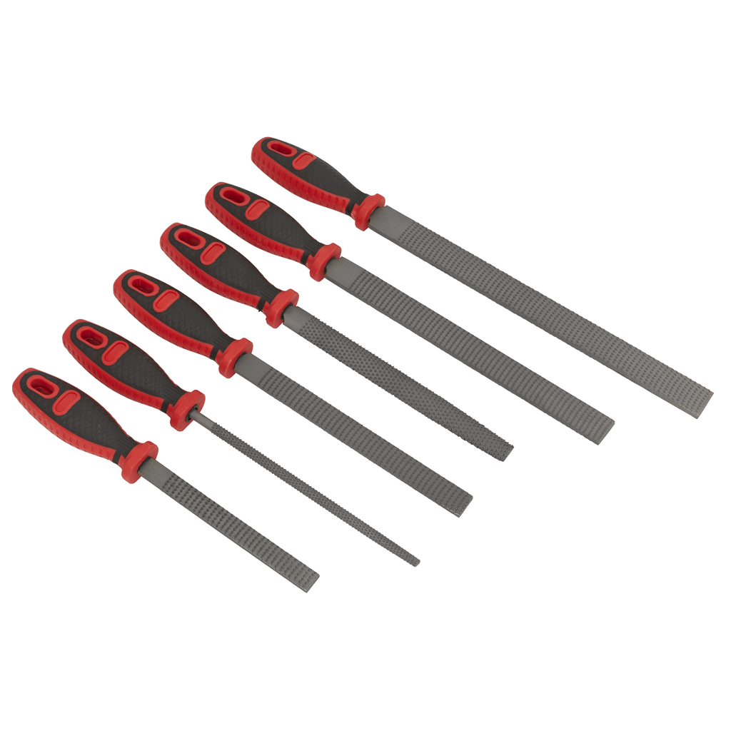 Rasp File Set 6pc AKR06