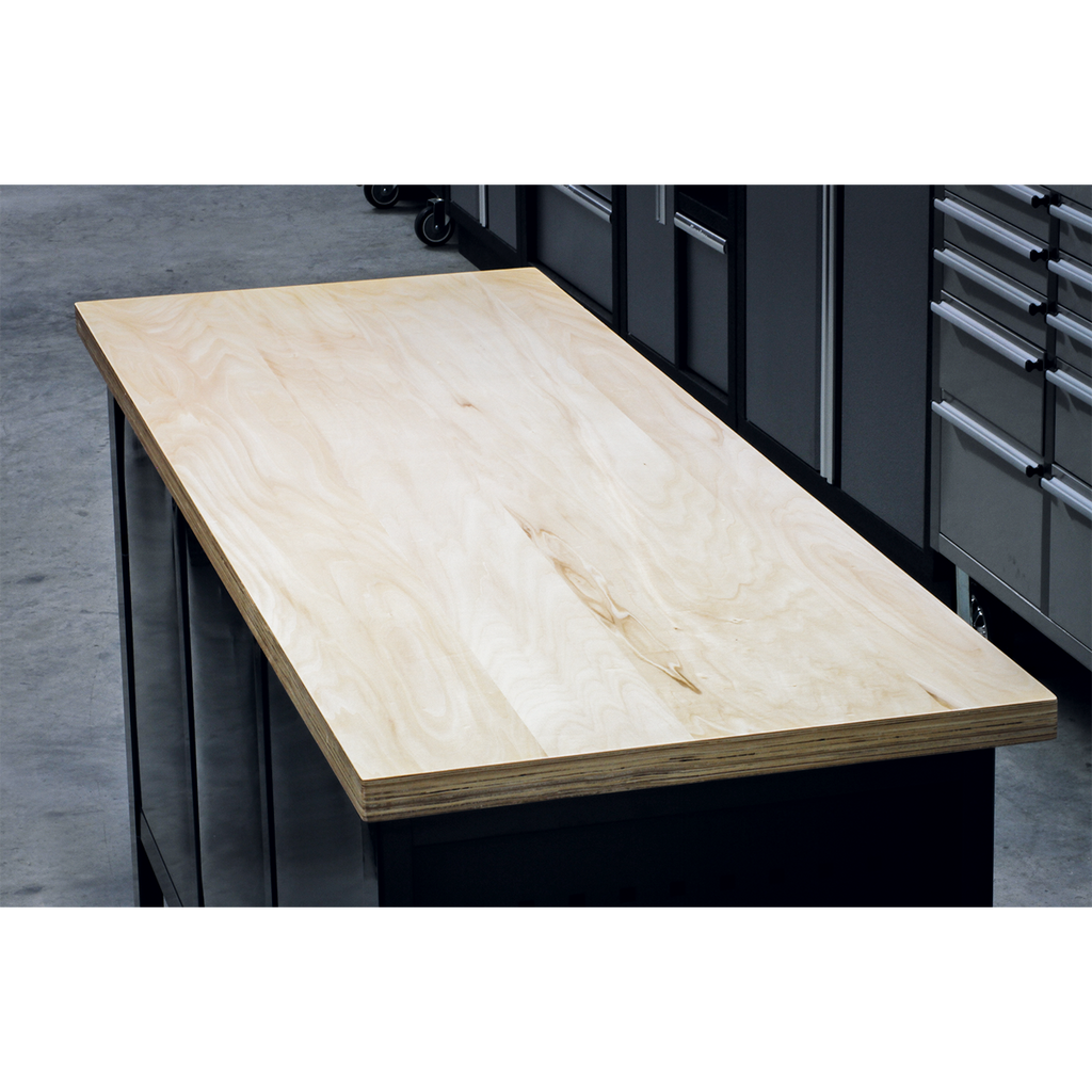 Workbench with 2 Drawers, 2 Cupboards & Open Storage AP1905A