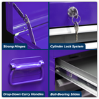 Topchest & Rollcab Combination 6 Drawer - Purple/Grey AP2200BBCP