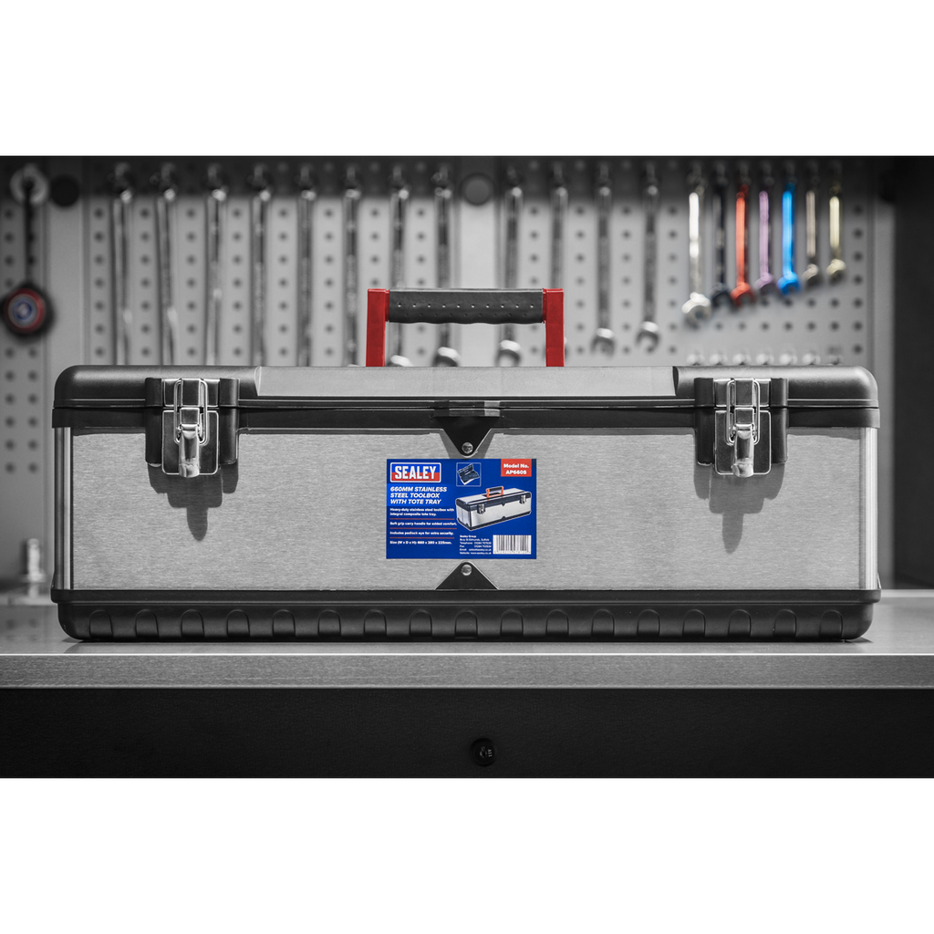 Stainless Steel Toolbox with Tote Tray 660mm AP660S