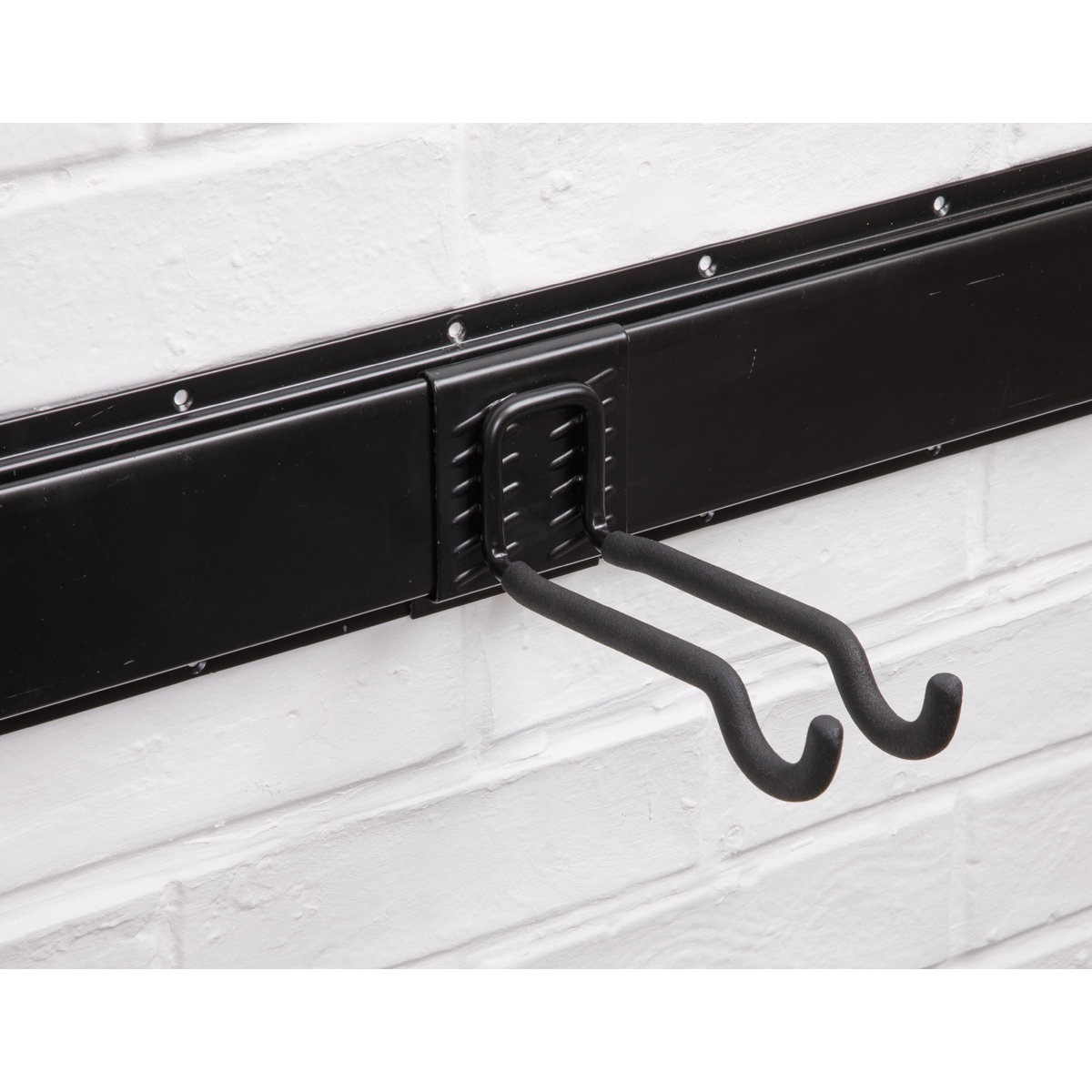 Sports Equipment Storage Hook APH06