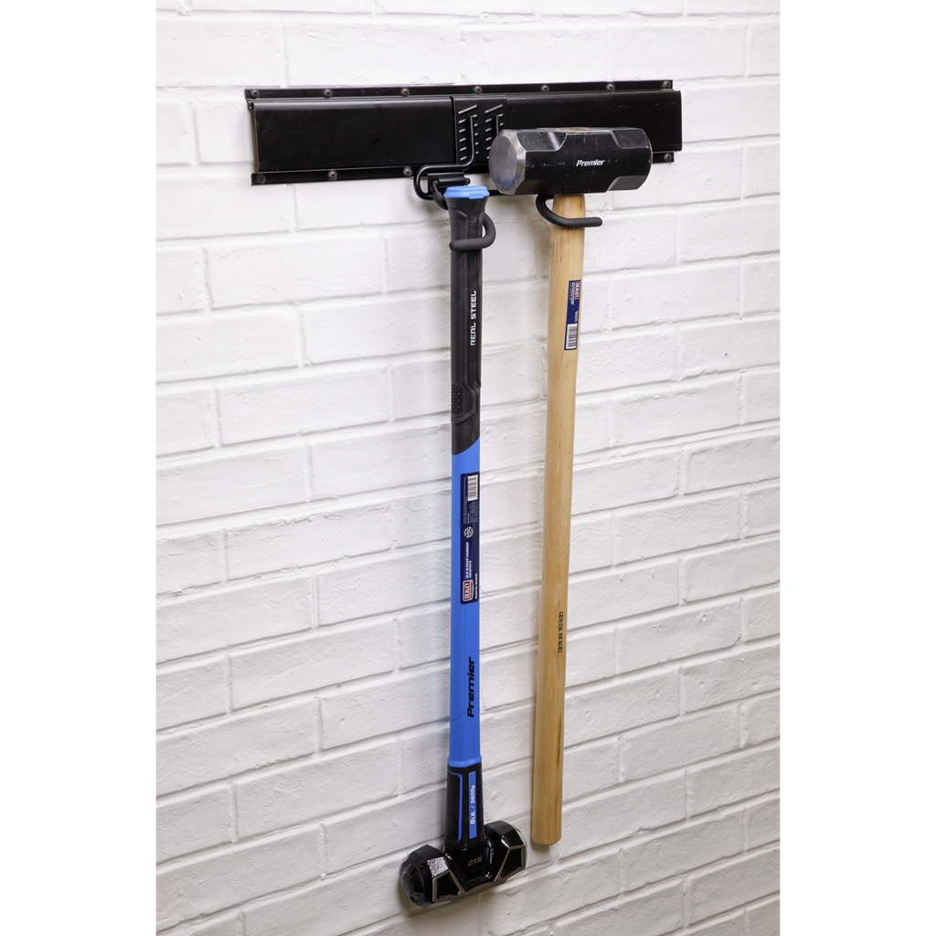 Double S Storage Hook APH08