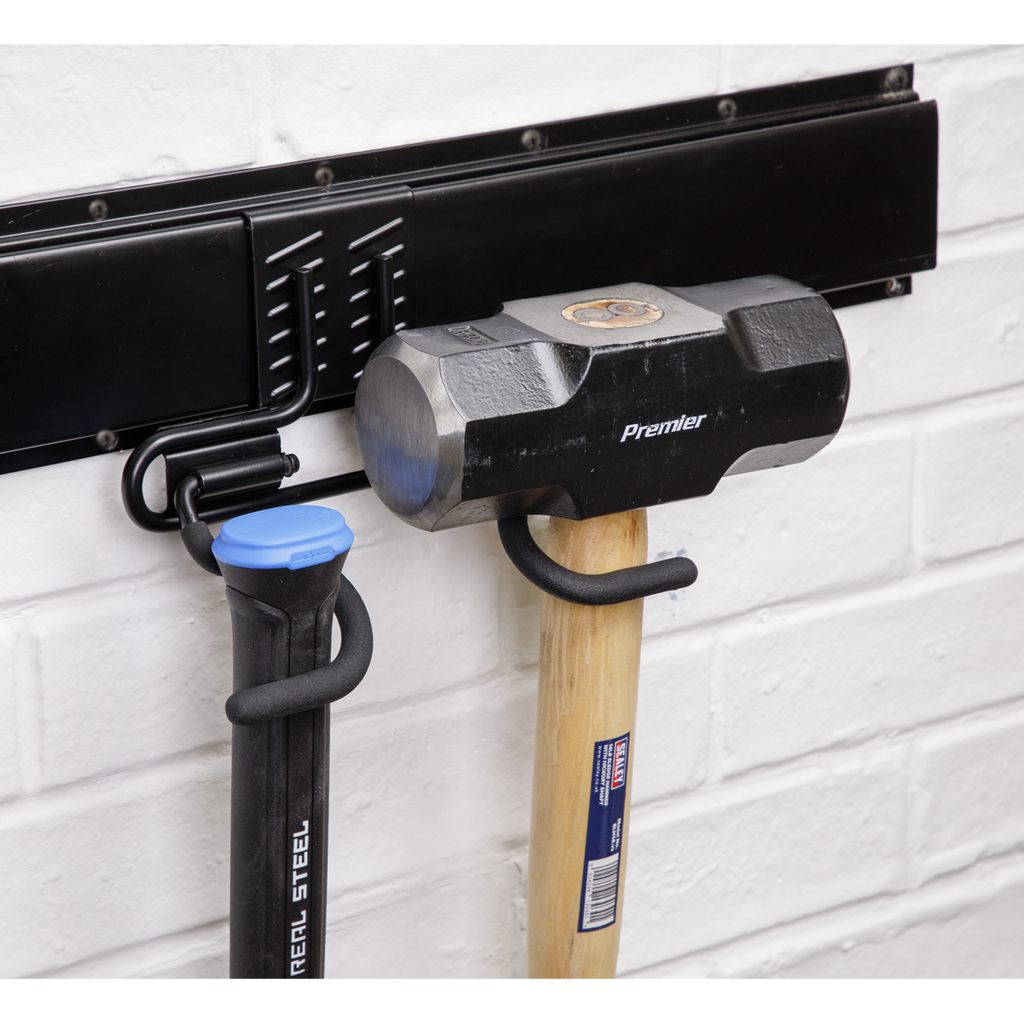 Double S Storage Hook APH08