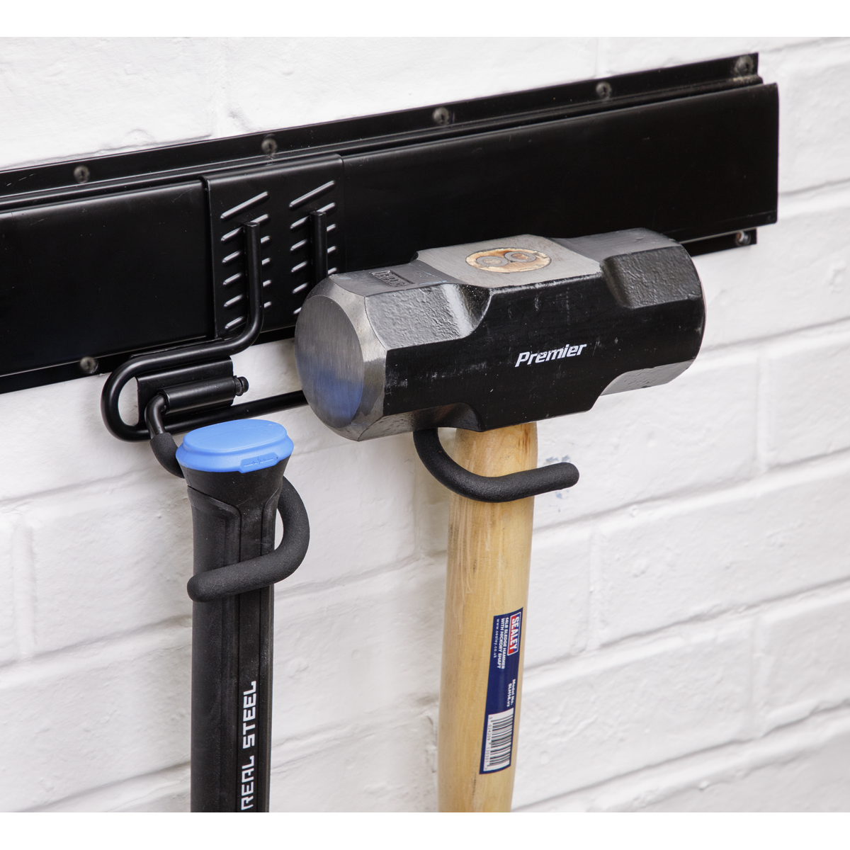 Double S Storage Hook APH08
