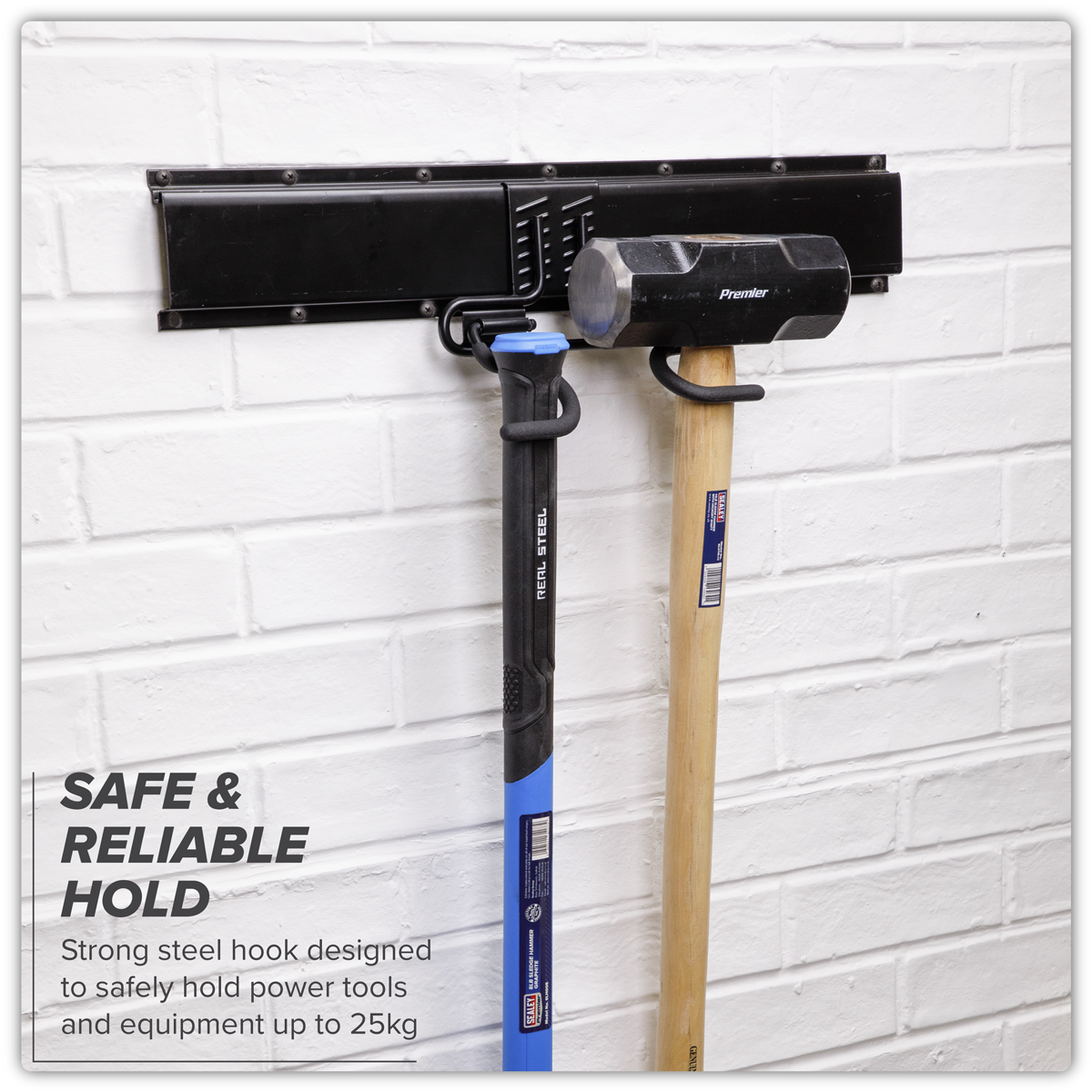 Double S Storage Hook APH08