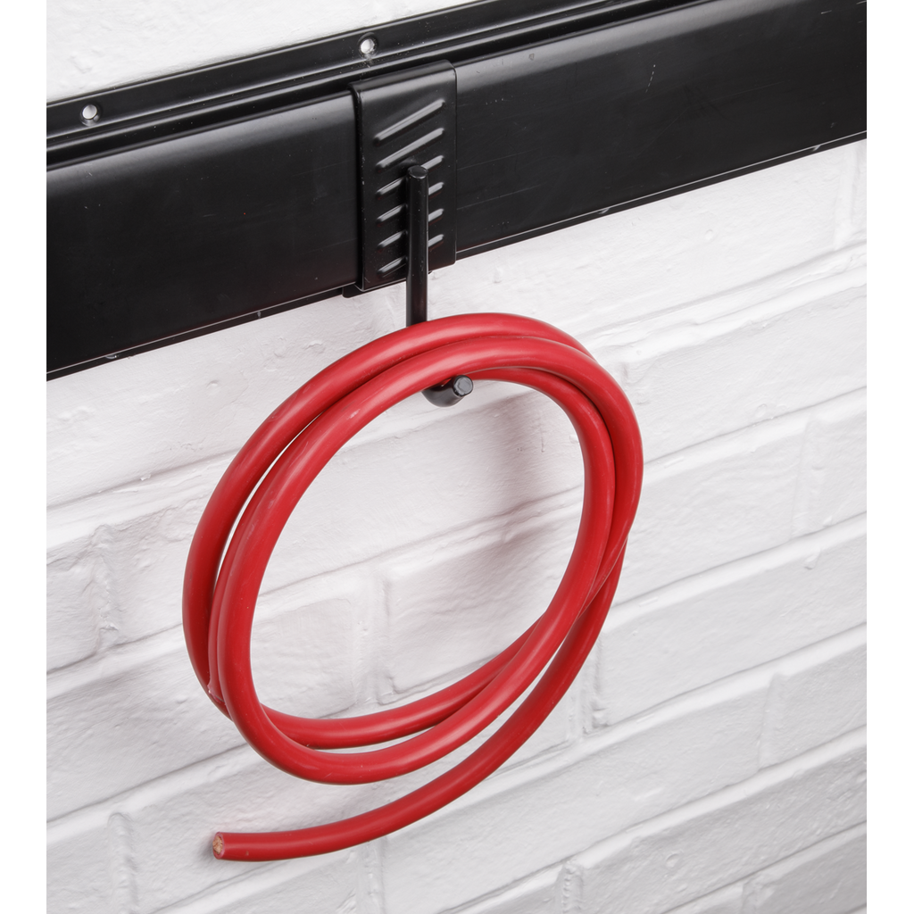 Single J Prong Storage Hook APH10