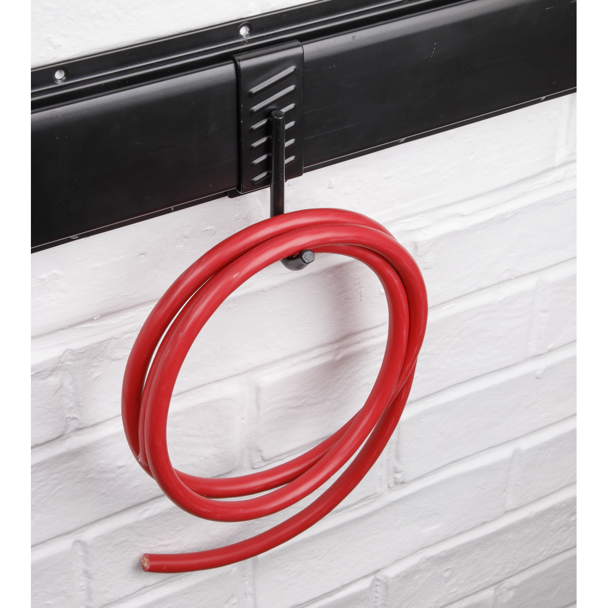 Single J Prong Storage Hook APH10