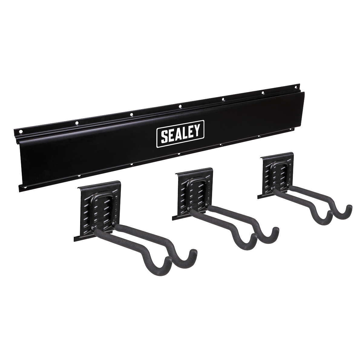 Wall Mounting Storage Rail with Sports Equipment Hooks APHKIT11