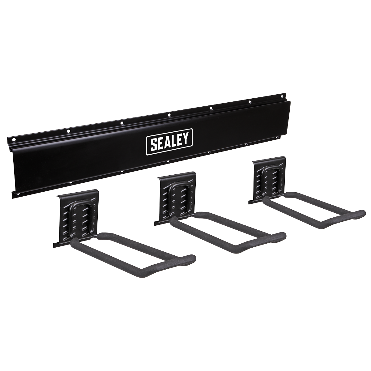 Wall Mounting Storage Rail with 3 Closed End Hooks APHKIT7