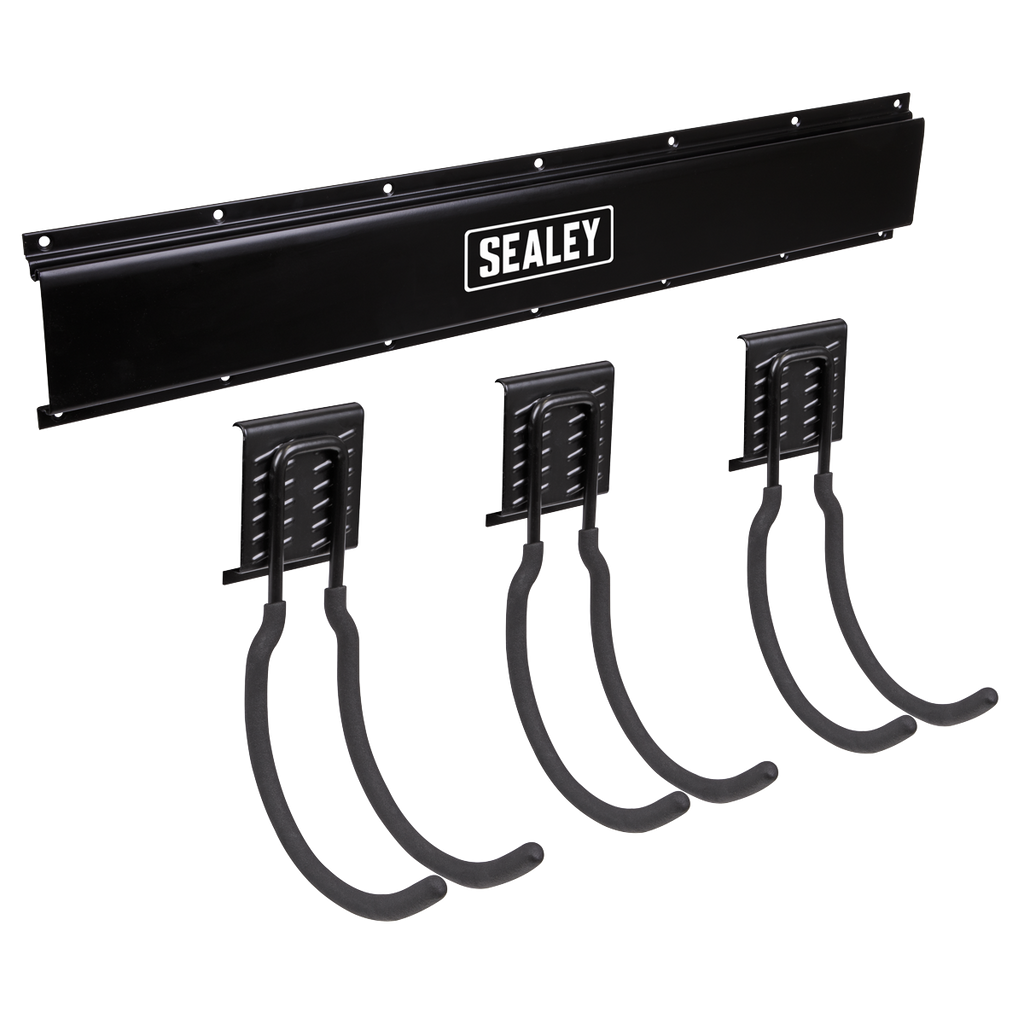 Wall Mounting Storage Rail with 3 Large Hooks APHKIT8