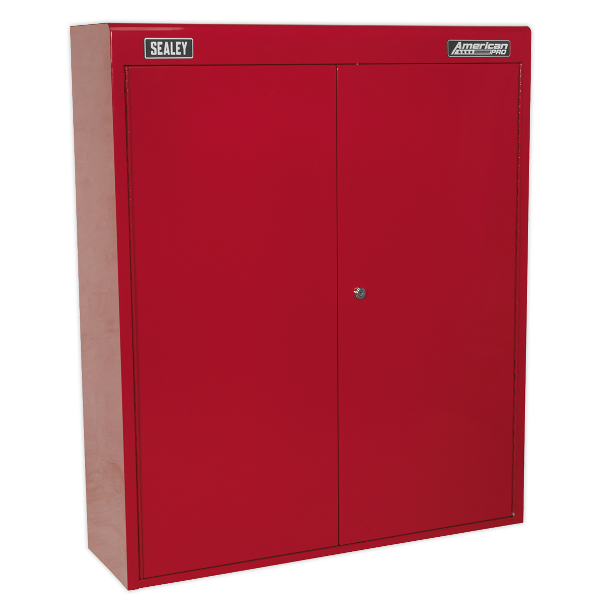 Wall Mounting Tool Cabinet with 2 Drawers APW750