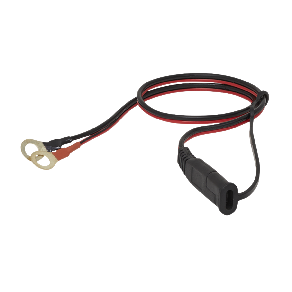 6/12V Compact Smart Trickle Charger & Maintainer 1A AUTOCHARGE100HF