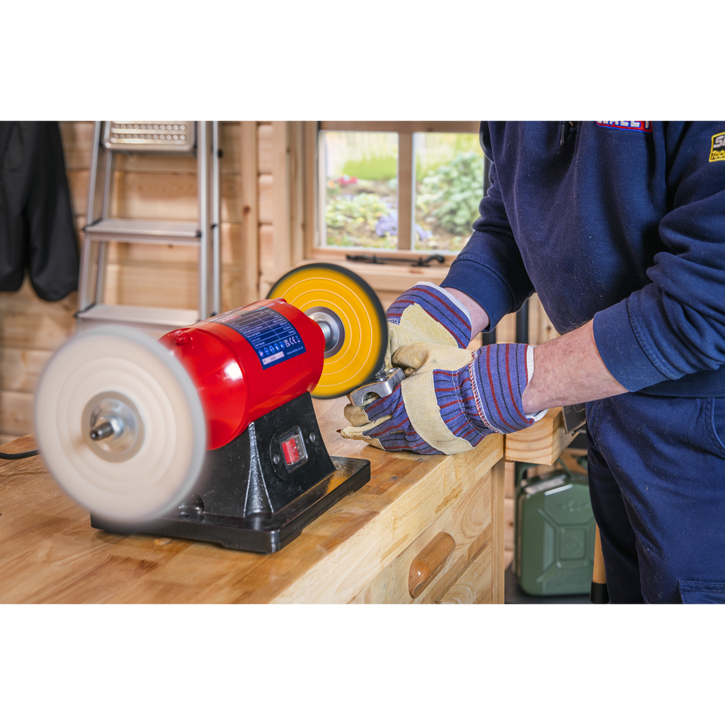 150mm Bench Mounting Buffer/Polisher 370W/230V BB1502
