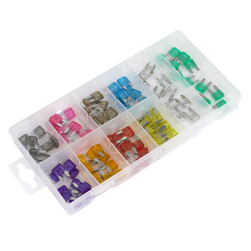 Automotive MINI Blade Fuse Assortment 100pc BCF100
