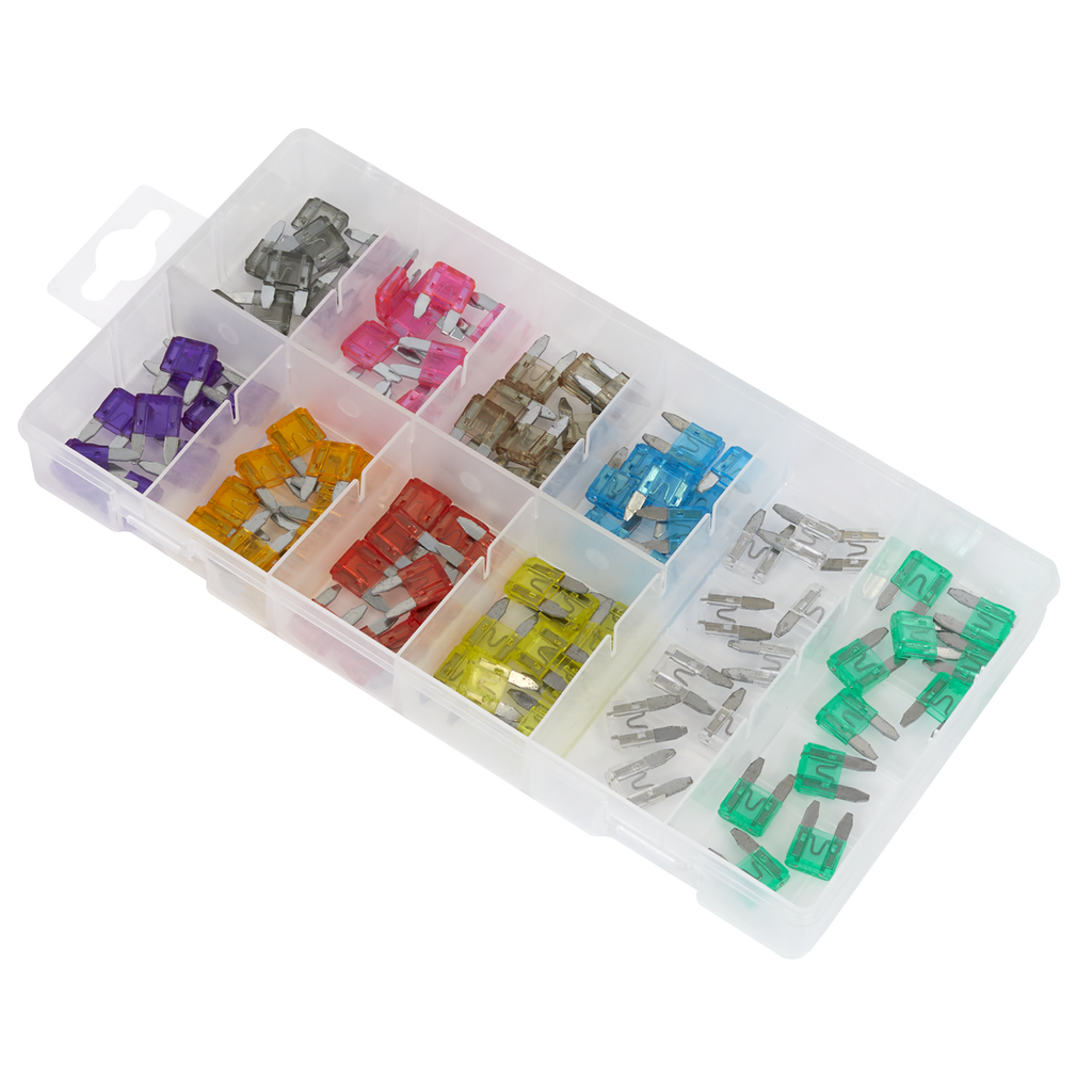 Automotive MINI Blade Fuse Assortment 100pc BCF100