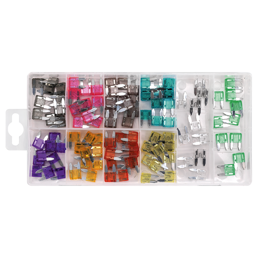 Automotive MINI Blade Fuse Assortment 100pc BCF100