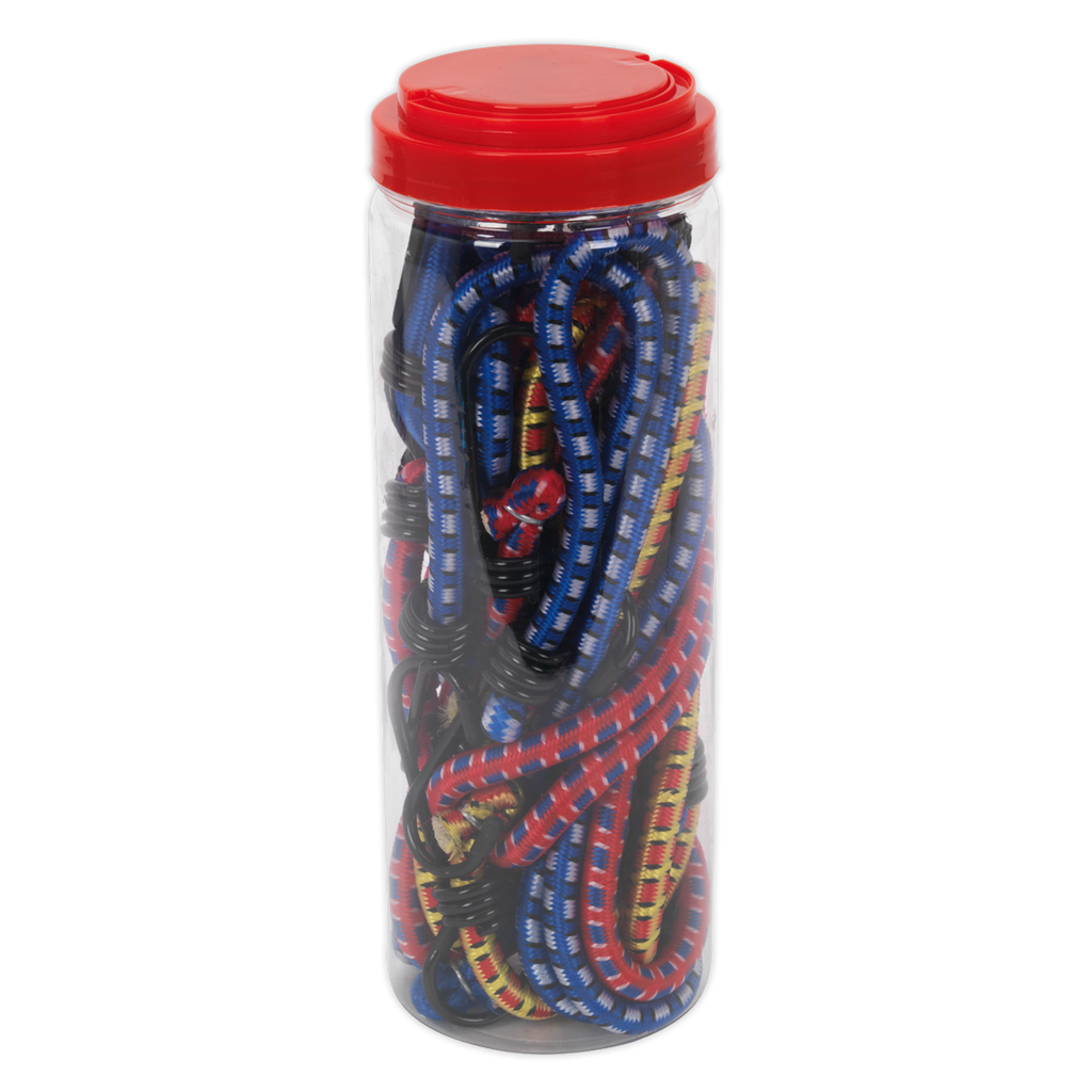 Bungee Cord Set 10pc BCS10