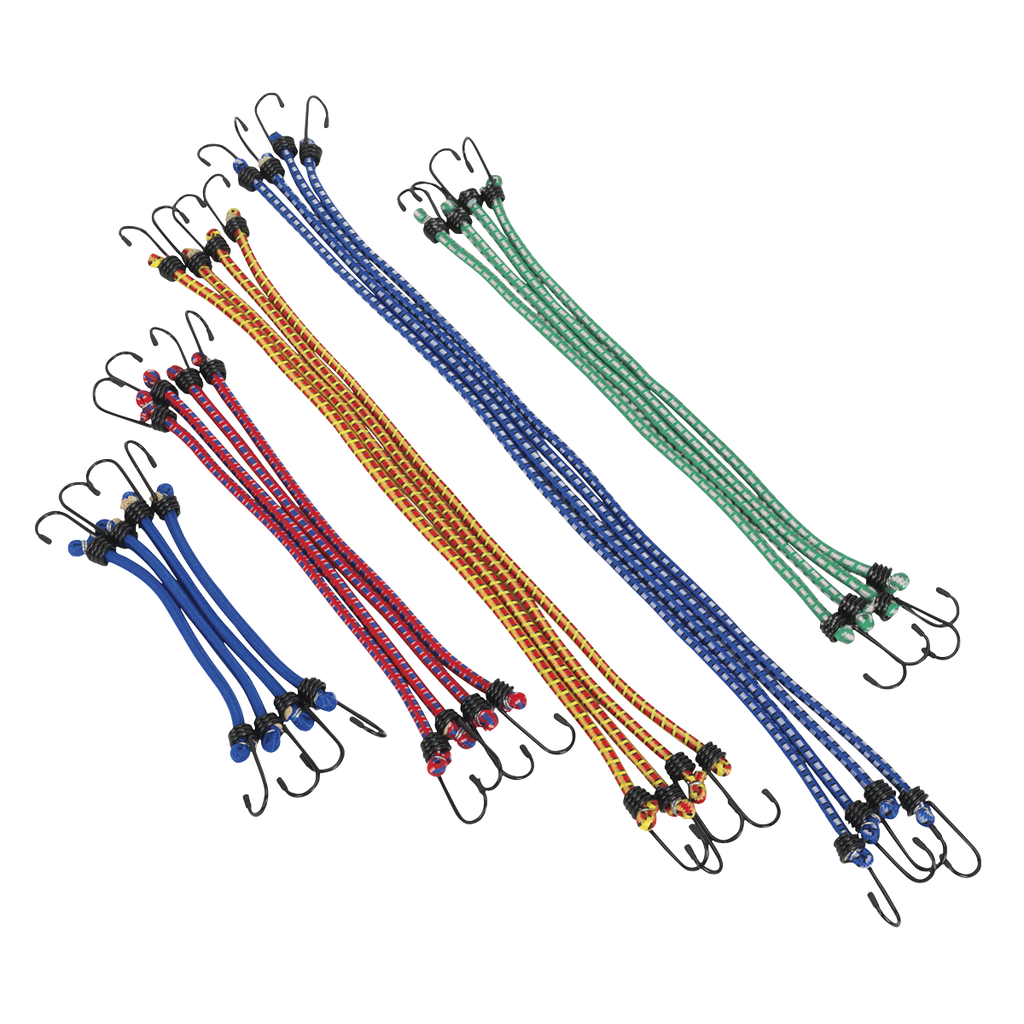 Bungee Cord Set 20pc BCS20