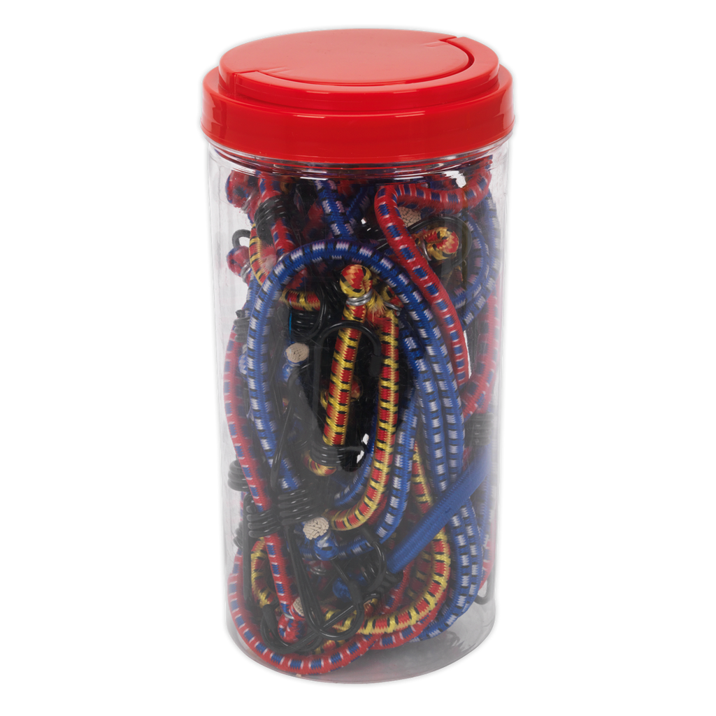 Bungee Cord Set 20pc BCS20