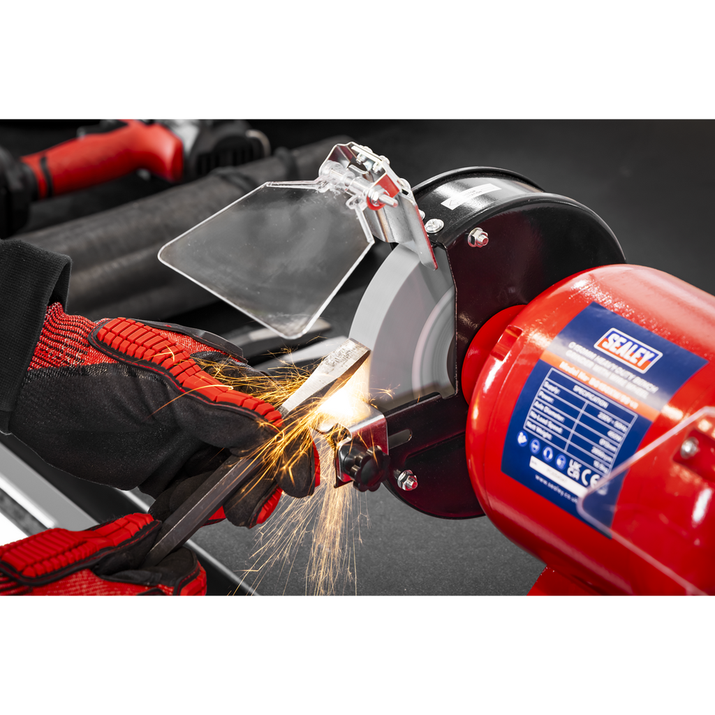 150mm Heavy-Duty Bench Grinder with Wire Wheel 450W/230V BG150XW/99