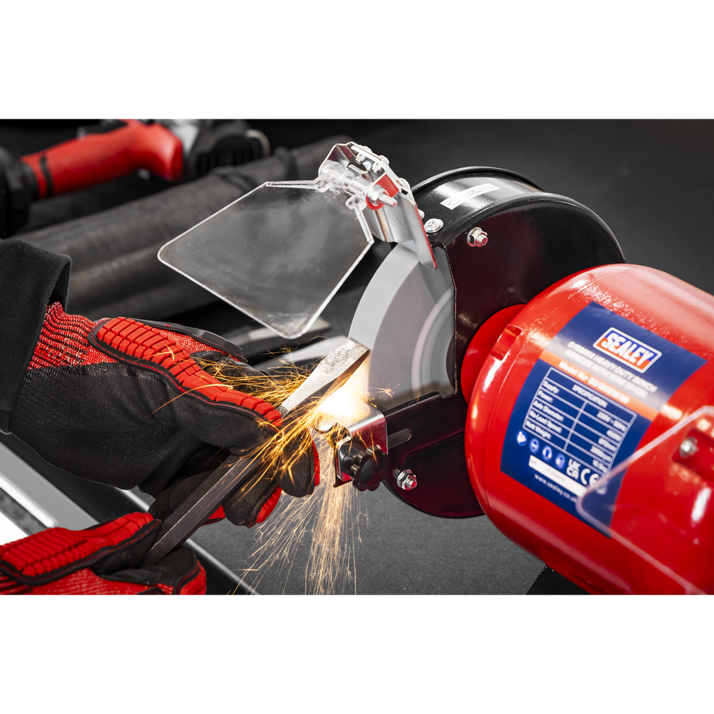 150mm Heavy-Duty Bench Grinder with Wire Wheel 450W/230V BG150XW/99