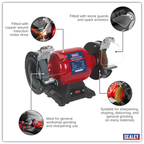 150mm Heavy-Duty Bench Grinder with Wire Wheel 450W/230V BG150XW/99