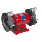 Heavy-Duty 200mm Bench Grinder 600W/230V BG200/99