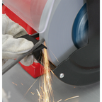 200mm Bench Grinder 600W/230V BG200XL