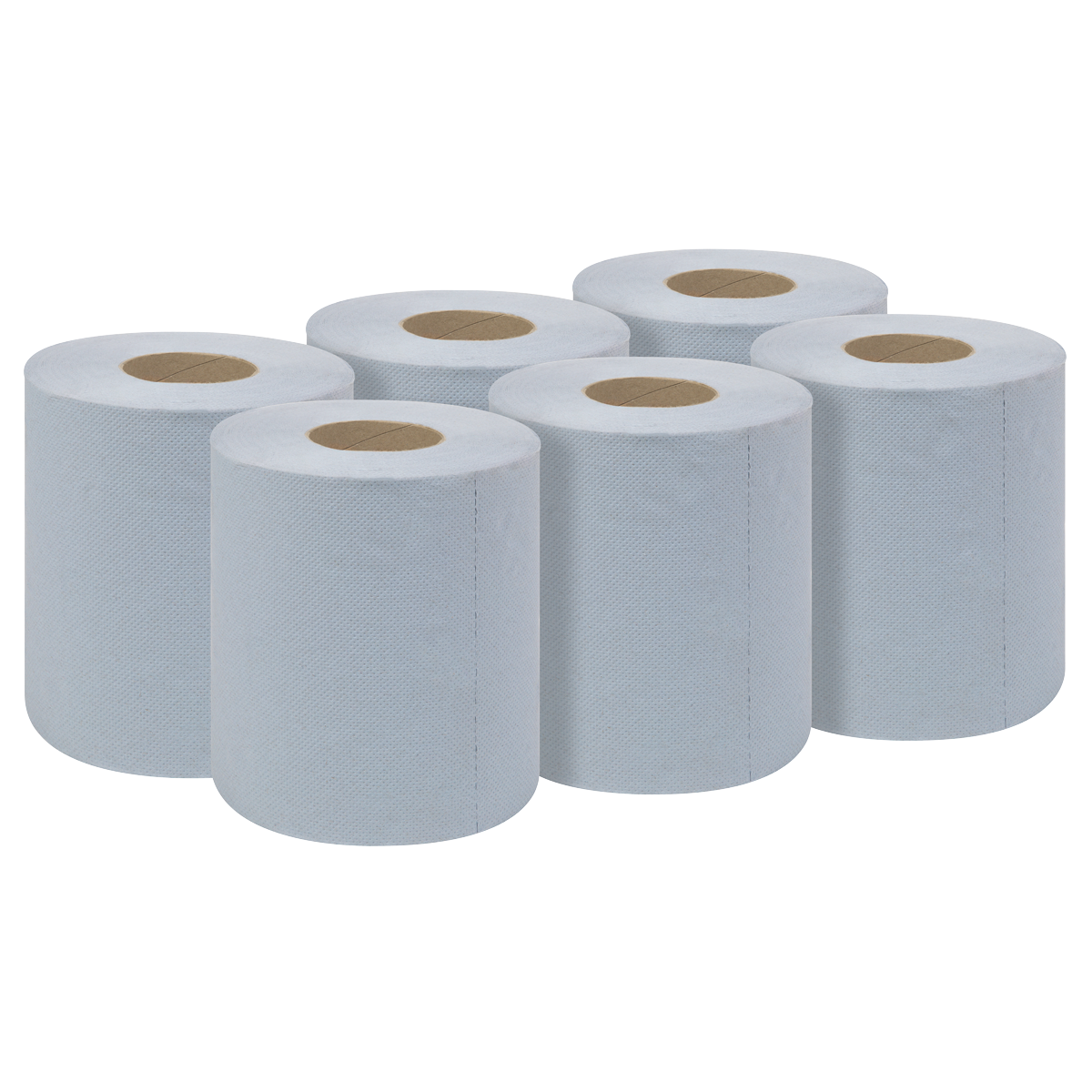 2-Ply Embossed Blue Paper Roll 60m - Pack of 6 BLU60