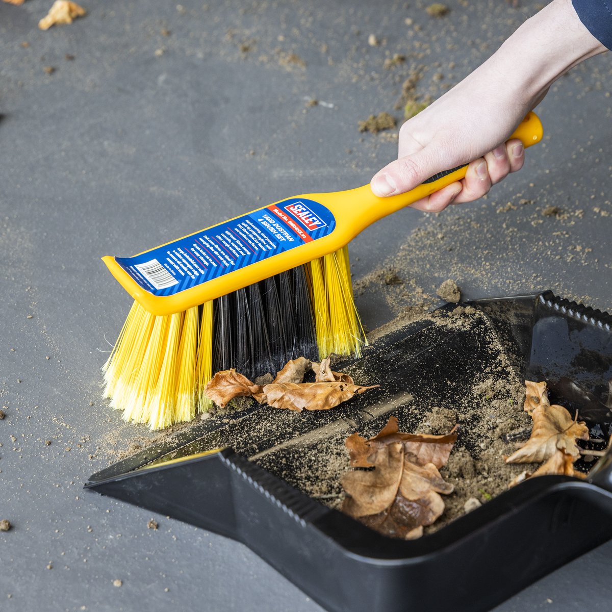 Yard Dustpan & Brush Set BM04HX