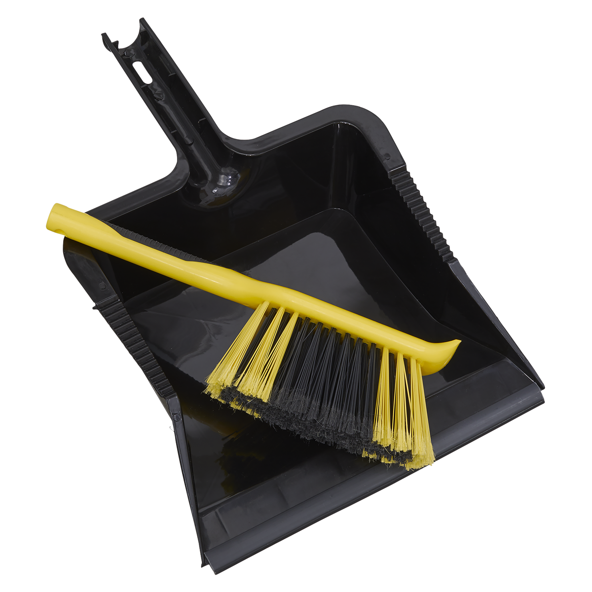 Yard Dustpan & Brush Set BM04HX