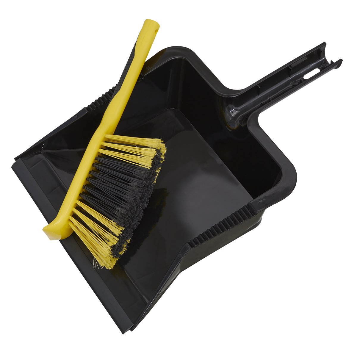 Yard Dustpan & Brush Set BM04HX