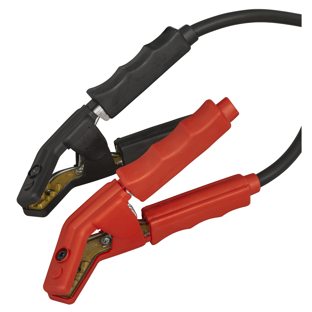 12V Battery Support Unit & Charger 100A BSCU170
