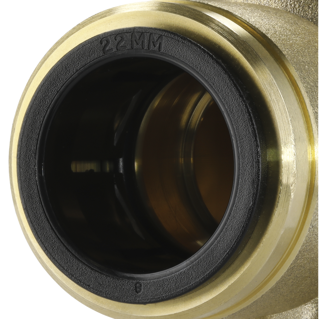 John Guest® Brass Wingback Elbow 22mm x 3/4"BSP CAS22BWE